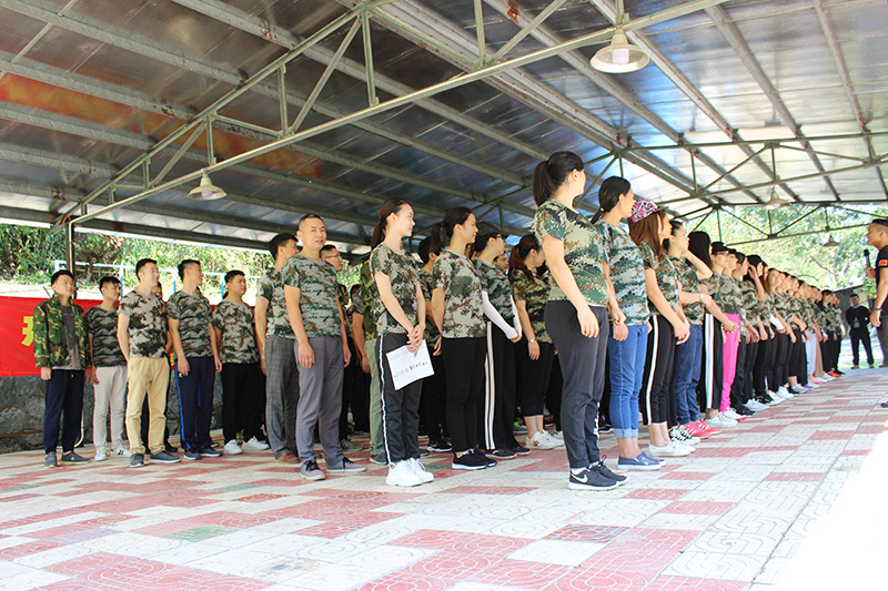 bandao sports家具团队户外拓展训练