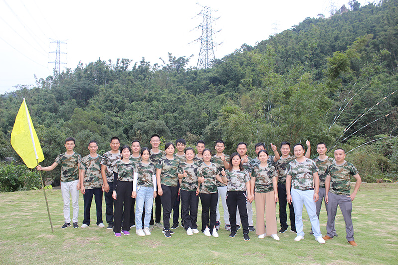 bandao sports团队5组