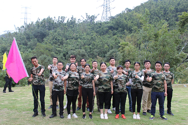 bandao sports团队6组